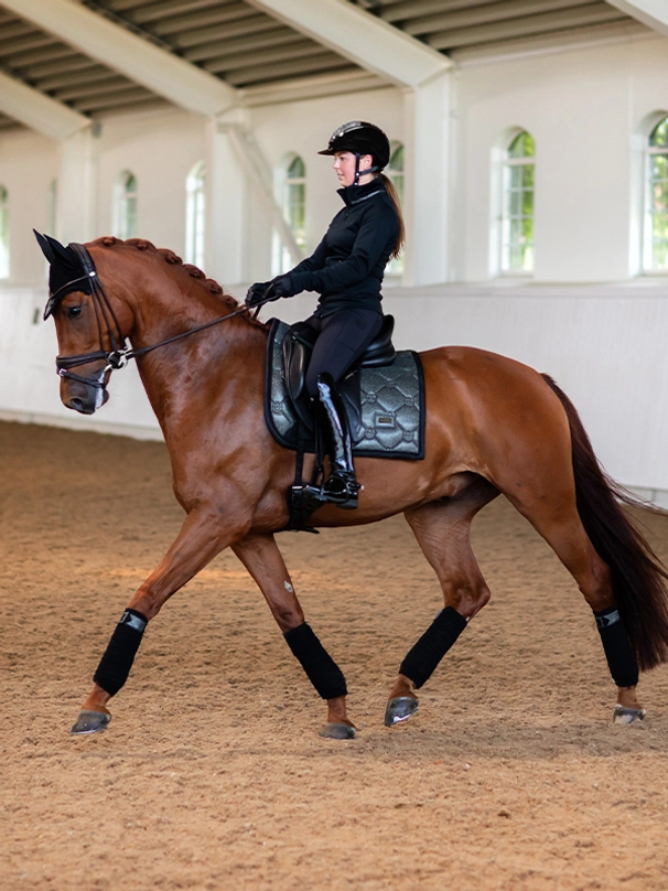 Equestrian Stockholm Dressur Schabracke Northern Light Glimmer Equestrian Stockholm Dressur Schabracke Northern Light Glimmer