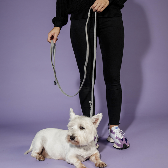 42543-3 Kentucky Dogwear Hundeleine, Reflective