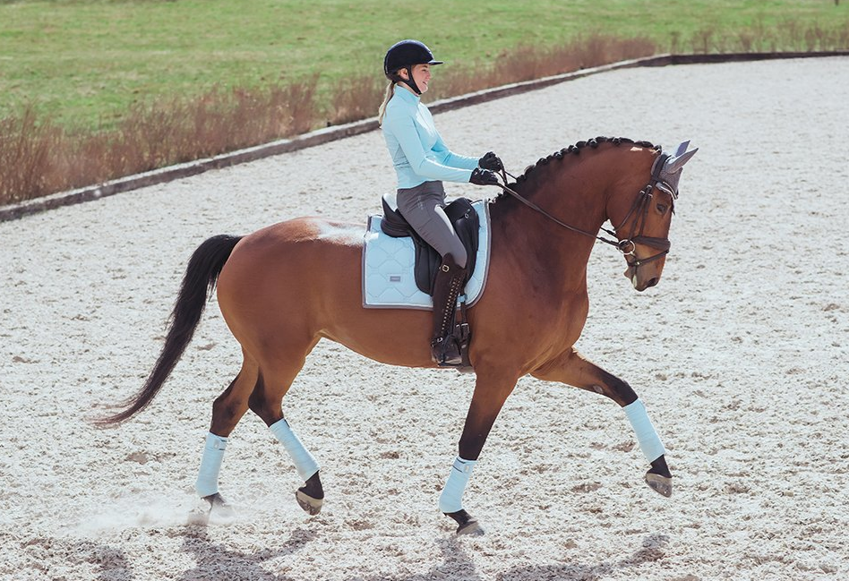 ibdr2 Equestrian Stockholm Dressur Schabracke Ice Blue