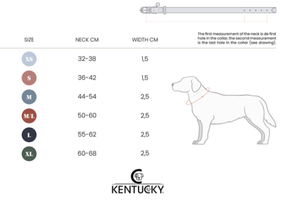42517ug8vZmlSPbRm6 Kentucky Dogwear Hundehalsband, Nylon geflochten
