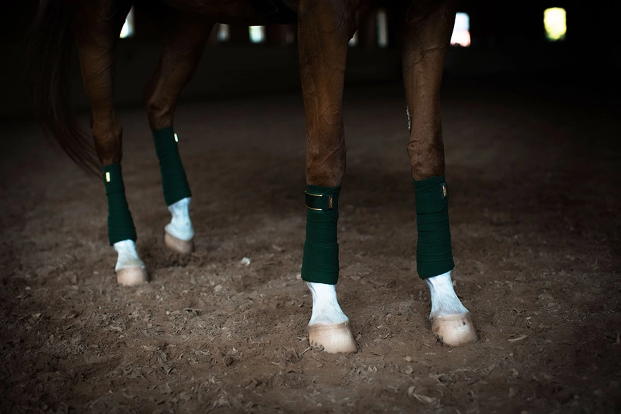 Equestrian Stockholm Fleece Bandagen Forest Green