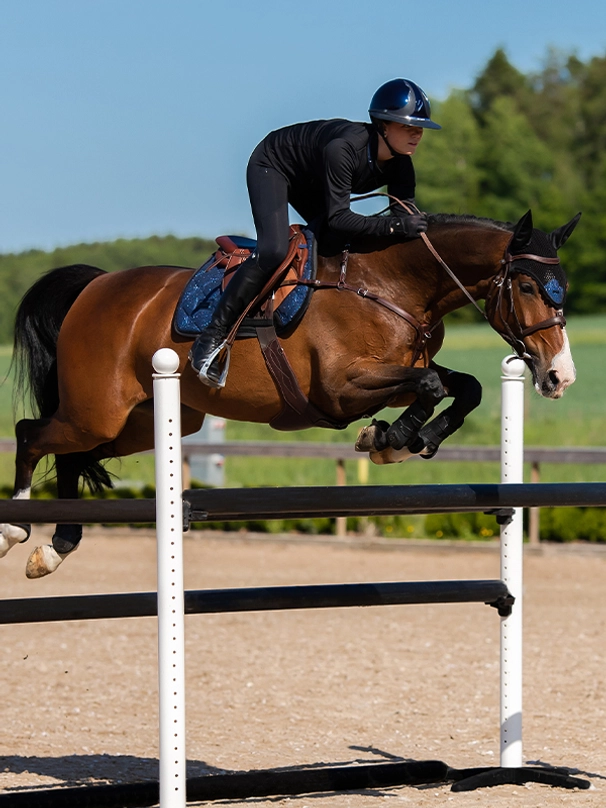 Equestrian Stockholm Spring Schabracke Polar Night Glimmer