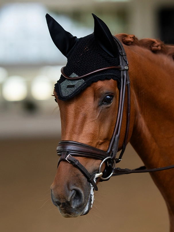 Equestrian Stockholm Fliegenhaube Northern Light Glimmer