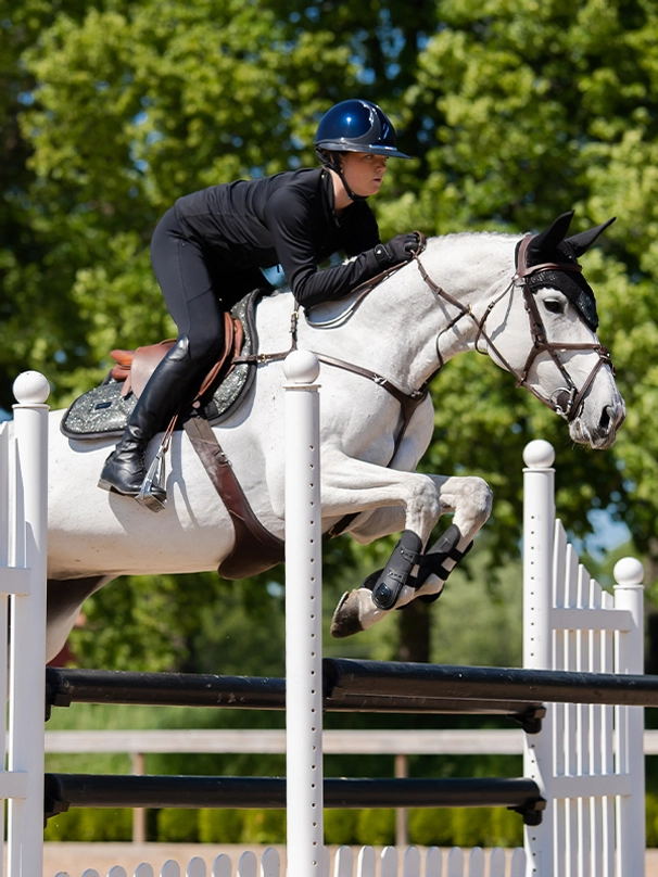 Equestrian Stockholm Spring Schabracke Northern Light Glimmer Equestrian Stockholm Spring Schabracke Northern Light Glimmer