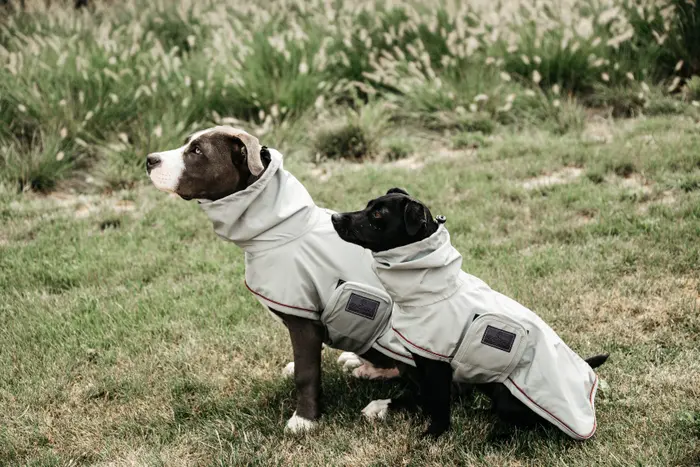 Kentucky Dogwear Hunde Regenmantel