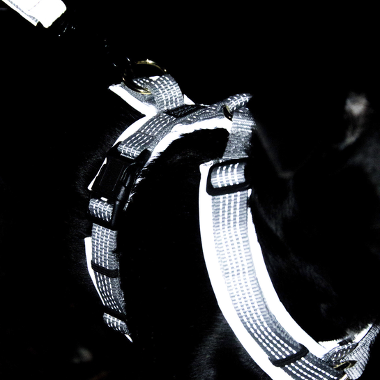 42641-3 Kentucky Dogwear Hundegeschirr, aktiv reflektierend