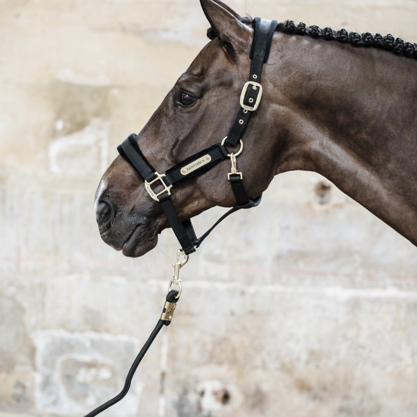 42558black2 Kentucky Horsewear Velvet Halfter