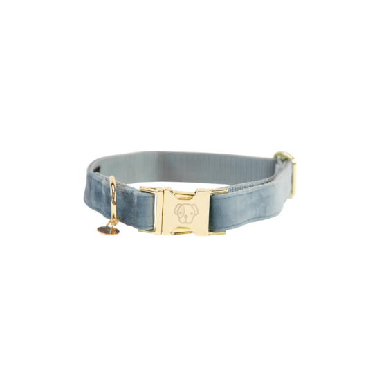 Kentucky Dogwear Hundehalsband, velvet
