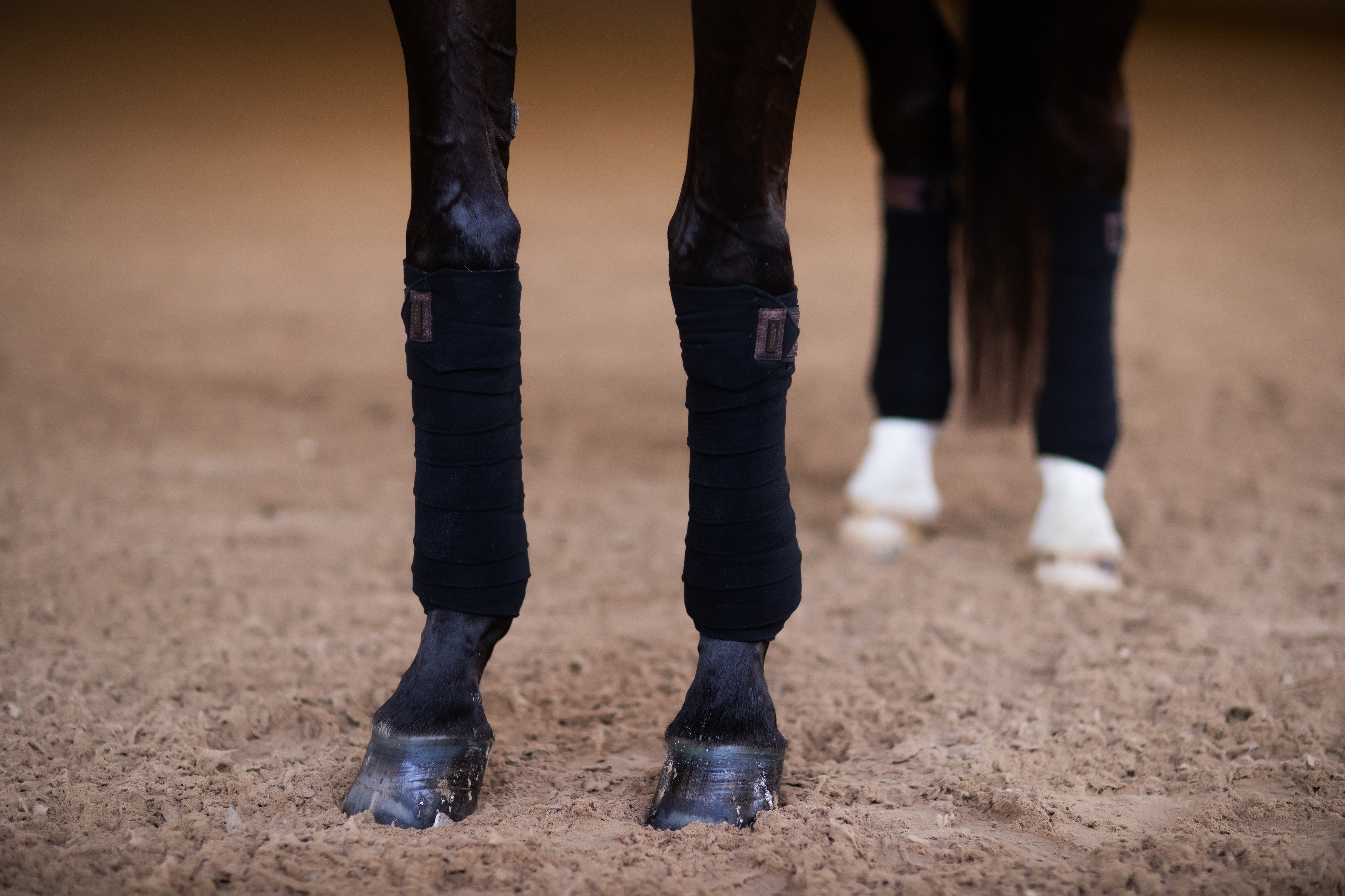 bgmglim1 Equestrian Stockholm Fleece Bandagen Mahogany Glimmer