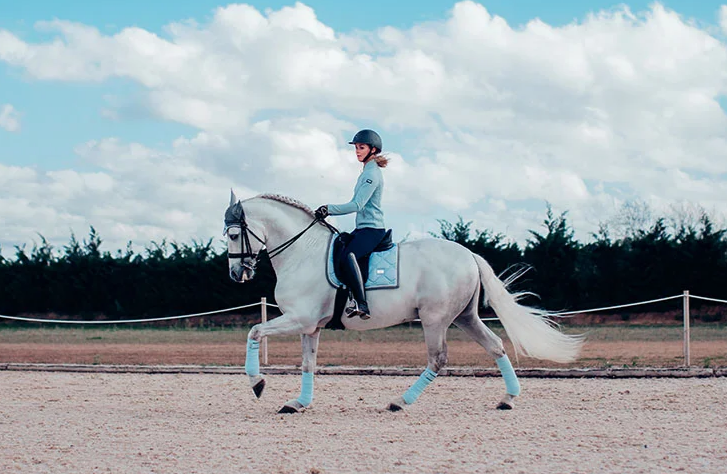 ibdr4 Equestrian Stockholm Dressur Schabracke Ice Blue
