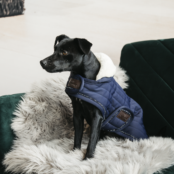 Kentucky Dogwear Hundemantel Pearls