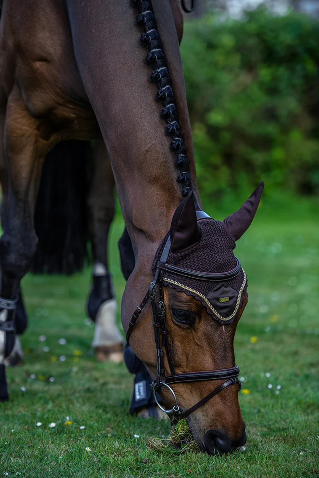 Equestrian Stockholm Fliegenhaube Golden Brown