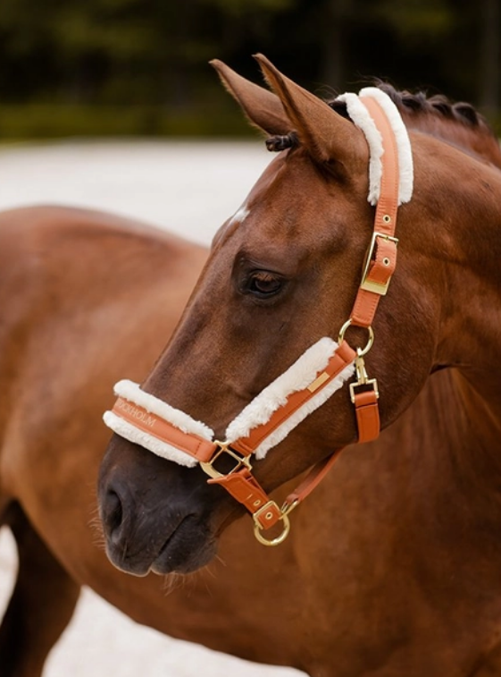 Equestrian Stockholm Halfter mit Bronze Gold