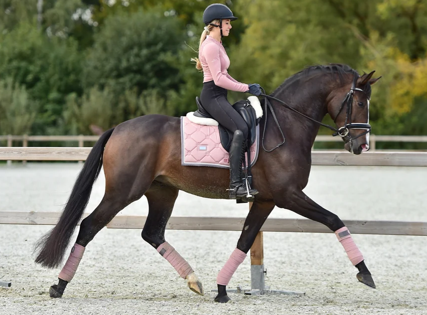 pink1 Equestrian Stockholm Dressur Schabracke Pink Pearl
