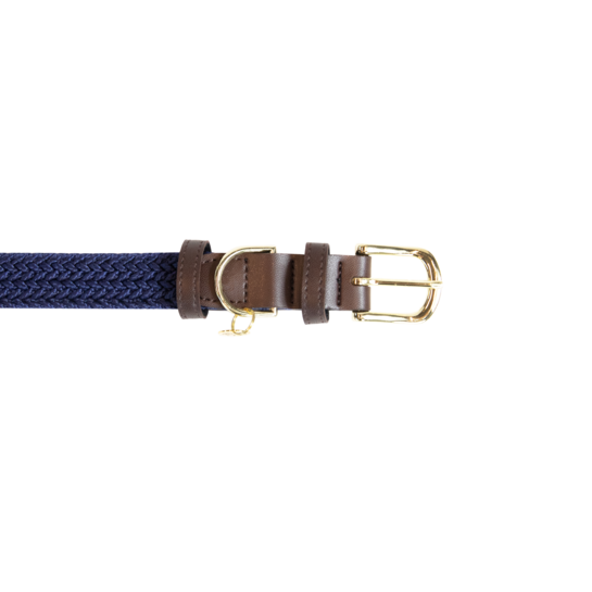 Kentucky Dogwear Hundehalsband, Nylon geflochten