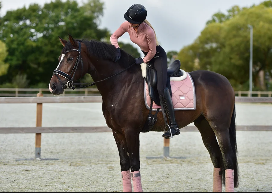 pink12 Equestrian Stockholm Dressur Schabracke Pink Pearl