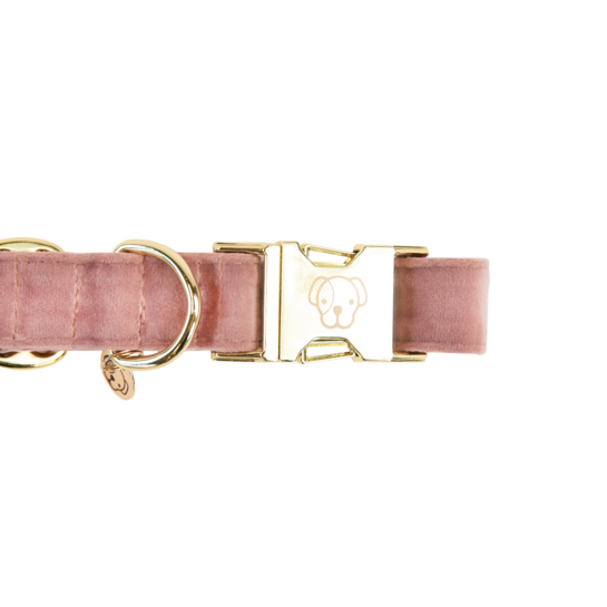 42538altrosa1 Kentucky Dogwear Hundehalsband, velvet