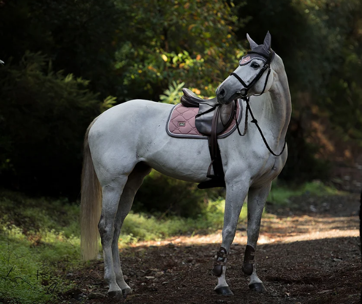 sp2 Equestrian Stockholm Spring Schabracke Pink Pearl
