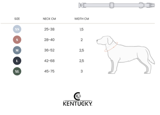 42542gCP81VTq2dJ3u Kentucky Dogwear Hundehalsband, Reflective