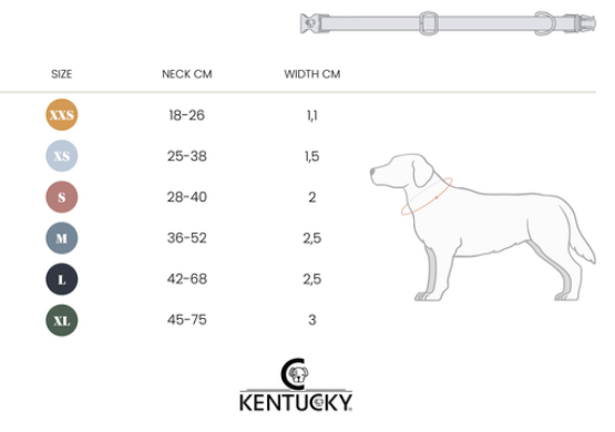 42538 Kentucky Dogwear Hundehalsband, velvet