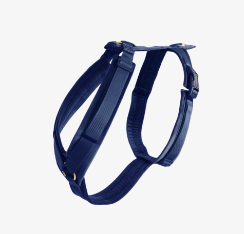 Kentucky Dogwear Hundegeschirr, aktiv velvet