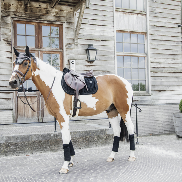 42629black2 Kentucky Horsewear Fliegenhaube Wellington Velvet Pearls