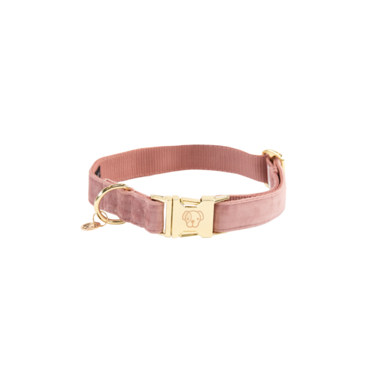 42538altrosa Kentucky Dogwear Hundehalsband, velvet