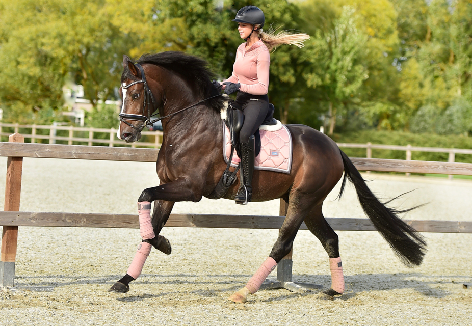 pink123 Equestrian Stockholm Dressur Schabracke Pink Pearl