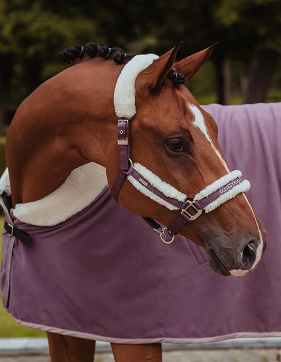 halfterorcbl1 Equestrian Stockholm Halfter mit Orchid Bloom