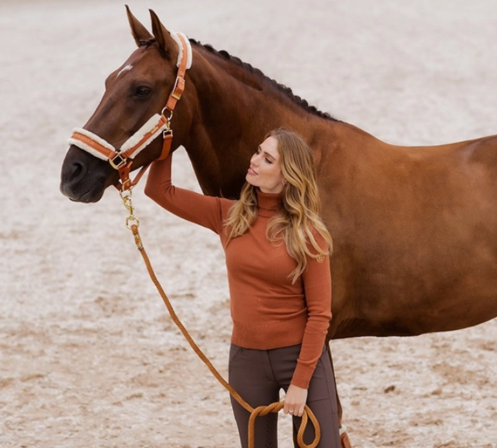 halfbr3 Equestrian Stockholm Halfter mit Bronze Gold