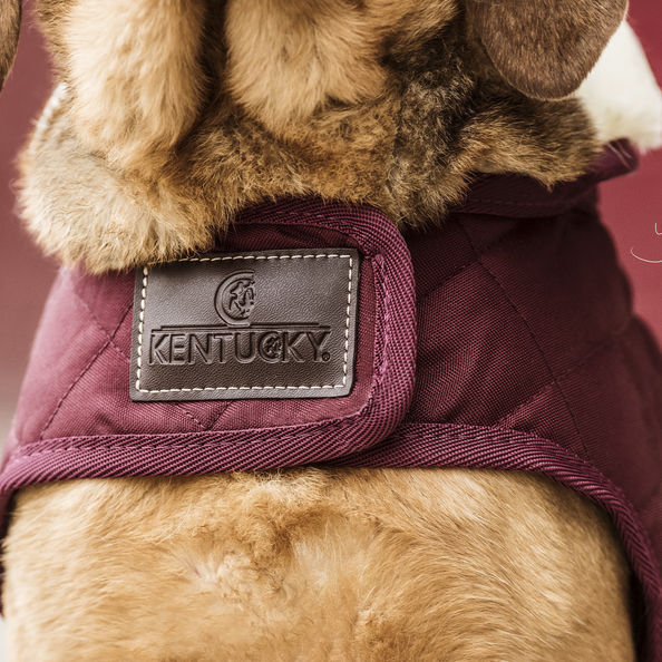 52104bordeaux2 Kentucky Dogwear Hundemantel Original