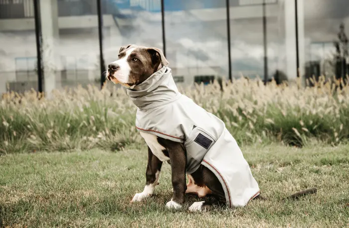 Kentucky Dogwear Hunde Regenmantel Kentucky Dogwear Hunde Regenmantel