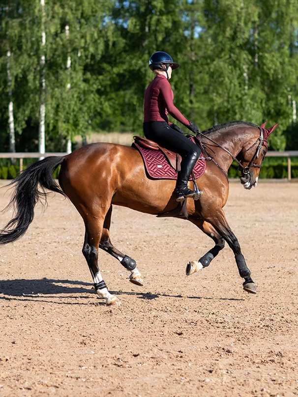 Equestrian Stockholm Spring Schabracke New Maroon Equestrian Stockholm Spring Schabracke New Maroon