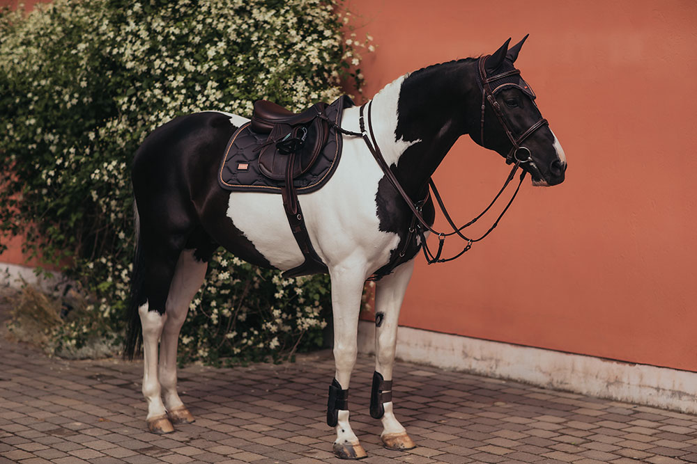 jump-saddle-pad-dark-sky-equestrian-stockholm-2 Equestrian Stockholm Spring Schabracke Dark Sky